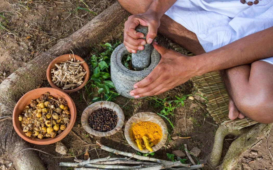 Ayurvedic herbs and Ayurvedic minerals